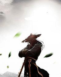 魔贤武尊